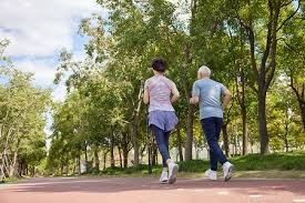 解析明尼苏达双城队如何通过室内外结合的球场文化应对北境寒流